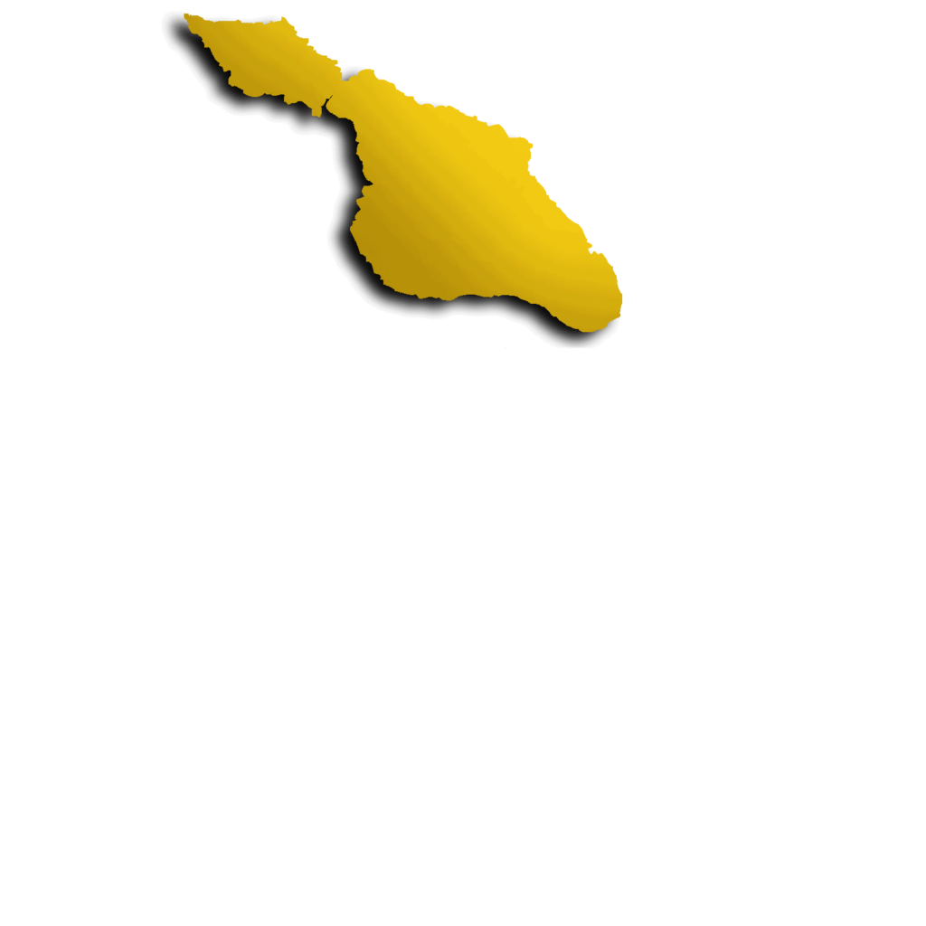 Catalina Film Festival & Institute